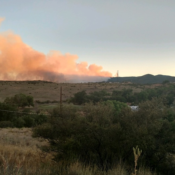 Meet your Posher, Jade - Picture 1 of 1